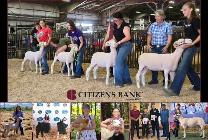 4H and FFA Member Sponsorships